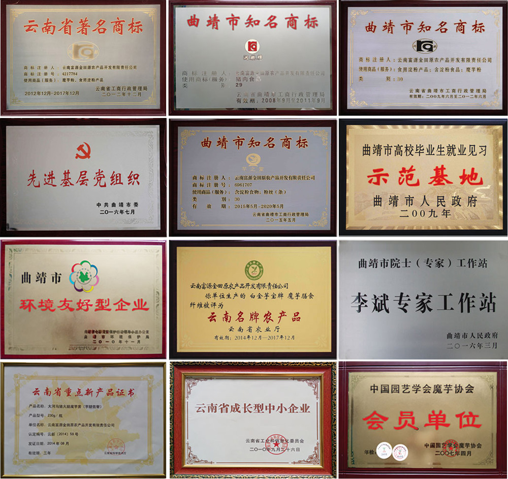 荣誉资质(图4)