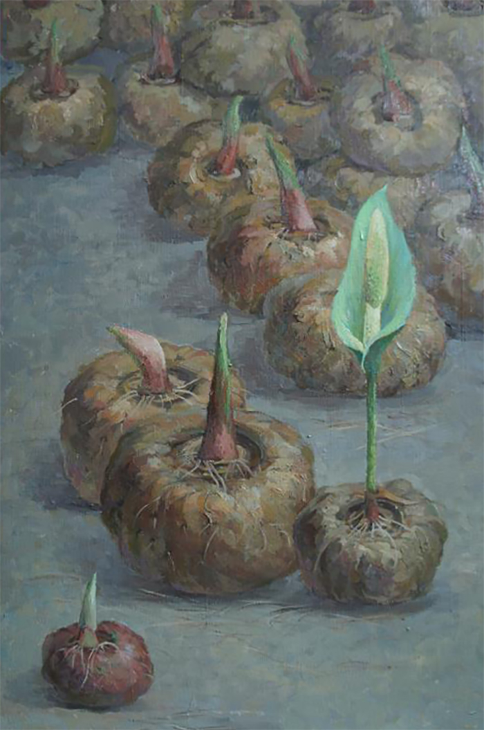 “高原印象.画说魔芋”云南省美术作品展开幕式在曲靖市美术馆隆重举行(图4)