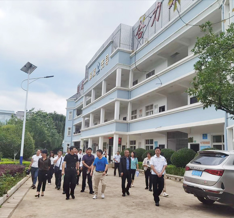 市政协李副主席带队调研金田原调研知识产权(图1) 市政协李副主席及县委领导班子到金田原调研知识产权推进情况