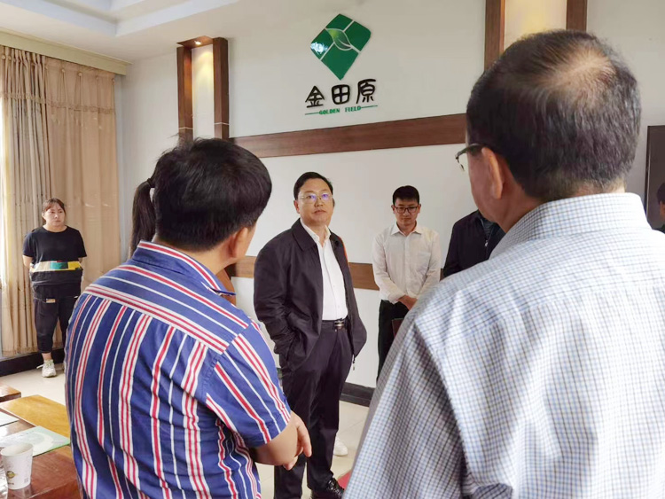 省广电局党组成员、副局长陈德金及县委何副书记、县委宣传部胡部长等一行到金田原公司调研魔芋产业(图2)