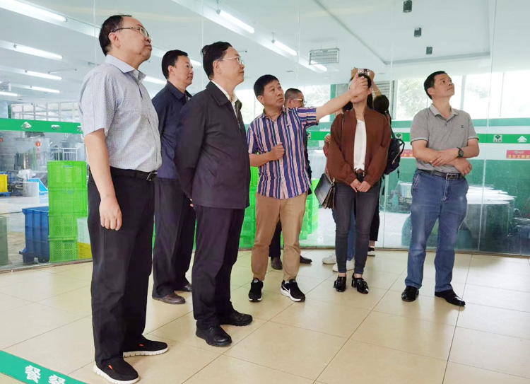 省广电局党组成员、副局长陈德金及县委何副书记、县委宣传部胡部长等一行到金田原公司调研魔芋产业(图5)