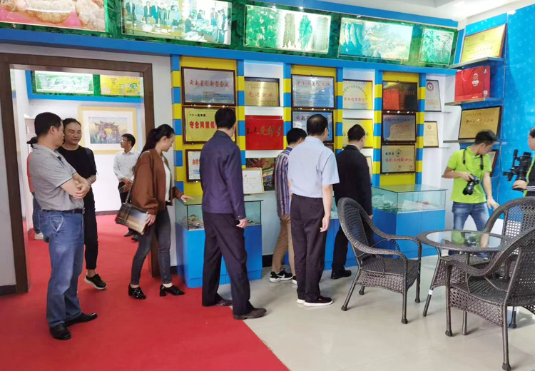 省广电局党组成员、副局长陈德金及县委何副书记、县委宣传部胡部长等一行到金田原公司调研魔芋产业(图3)